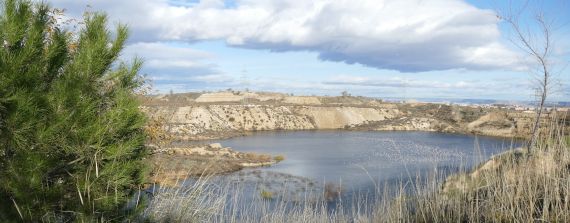 El Patrimonio Natural de las Lagunas de Ambroz y su entorno en pleno corazón de la ciudad de Madrid: la prioridad de proteger y conservar sus cerca de 700 ha. Organiza: SEO/BirdLife