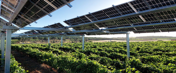 Situación de la agrovoltaica: Avances / Casos prácticos: Plataforma por un nuevo modelo energético