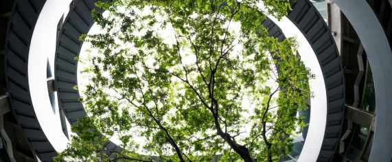 Ecodiseño: clave para la circularidad y la competitividad