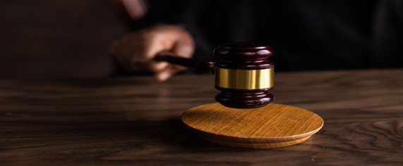 Litigación ambiental