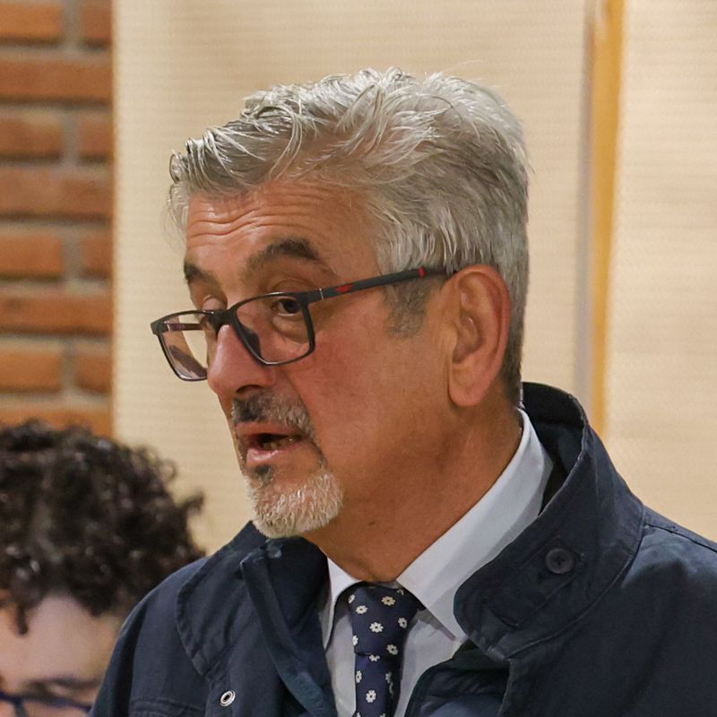 Luis Miguel Martínez Palencia