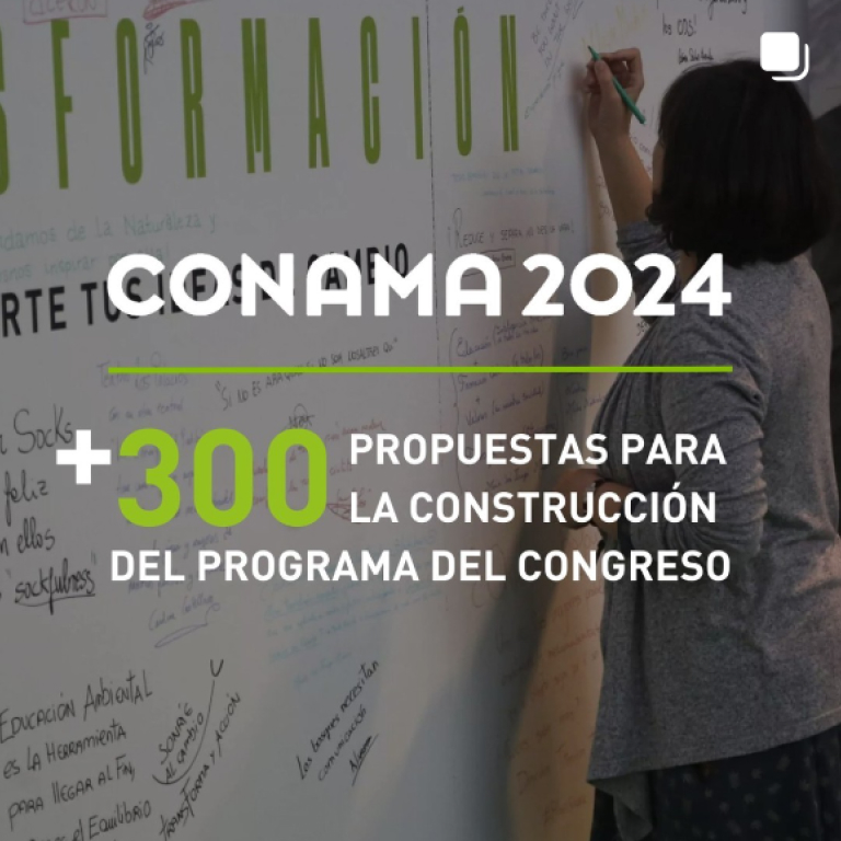 Conama 2024