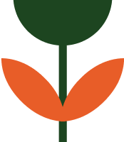 El Congreso en imágenes