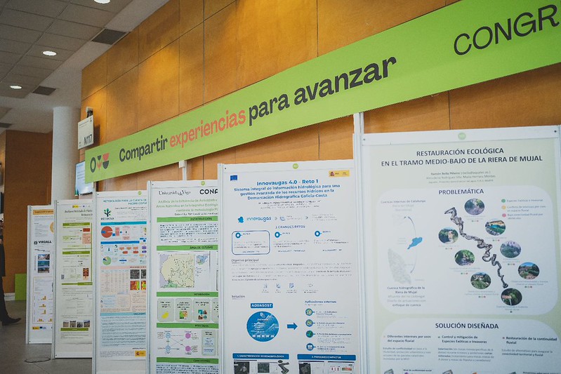 Exposición de paneles de proyectos e investigaciones.