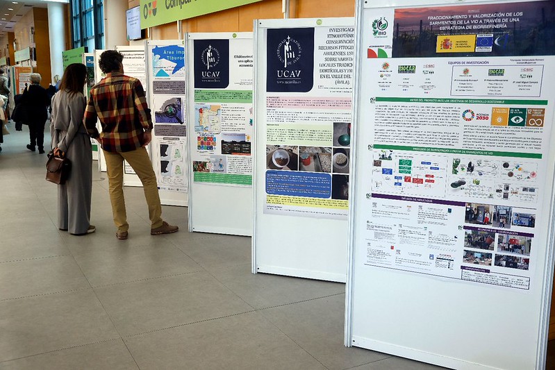 Presentación de carteles de investigación en el congreso.