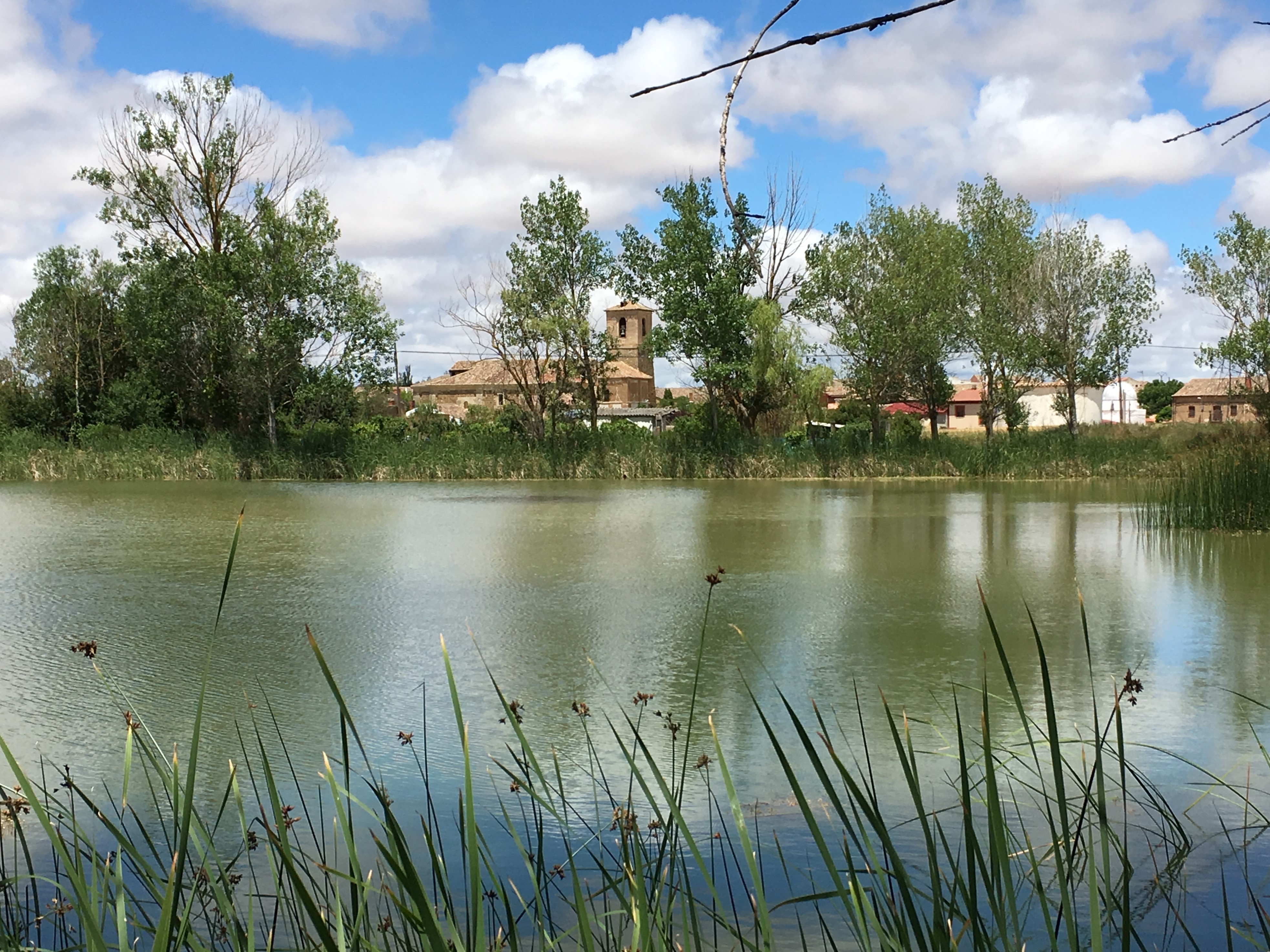 TURISMO EDUCATIVO-AMBIENTAL