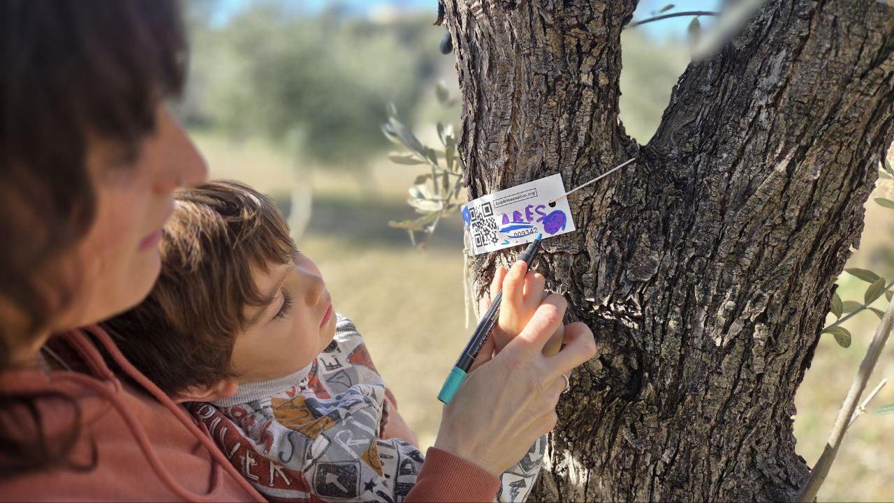 Oliete Despierta: Recuperar 100.000 olivos yermos para la transición justa de un territorio del carbón.