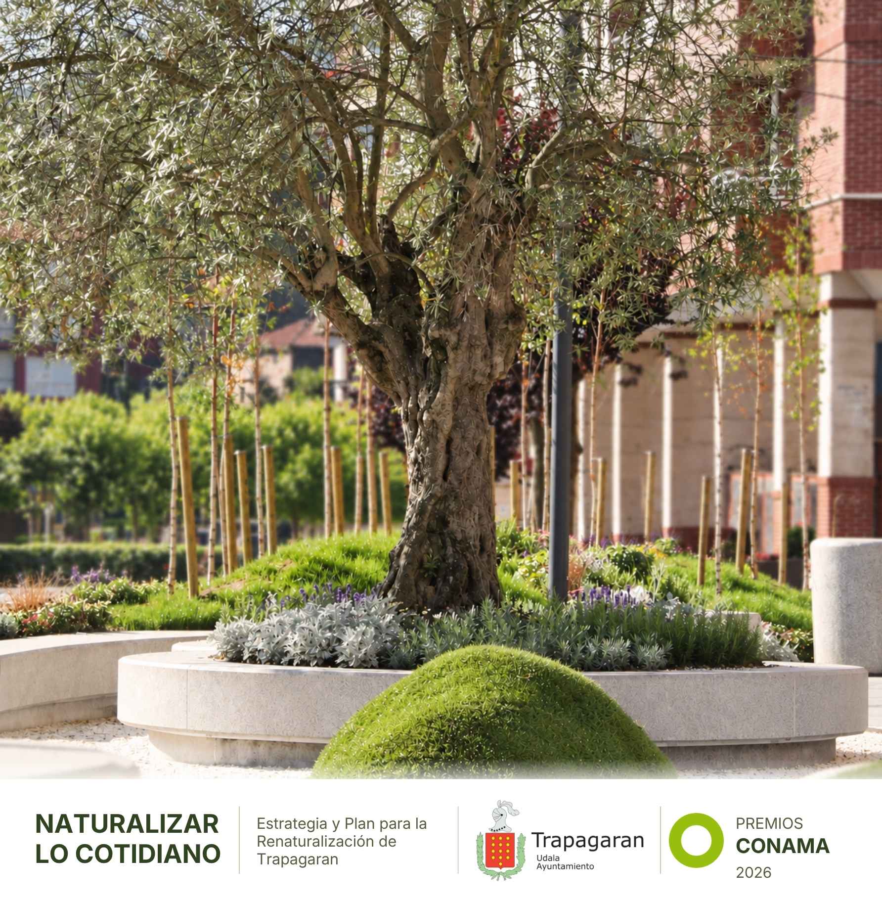Trapagaran: naturalizar lo cotidiano